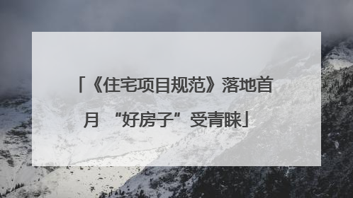 《住宅项目规范》落地首月 “好房子”受青睐