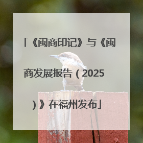 《闽商印记》与《闽商发展报告（2025）》在福州发布