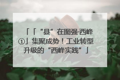 「“县”在图强·西峰①」集聚成势！工业转型升级的“西峰实践”