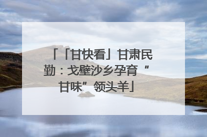 「甘快看」甘肃民勤：戈壁沙乡孕育“甘味”领头羊