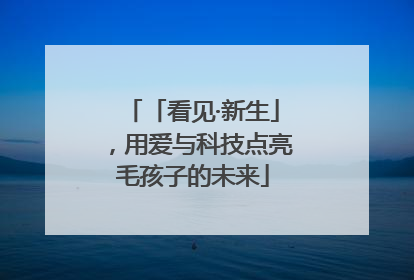 「看见·新生」，用爱与科技点亮毛孩子的未来