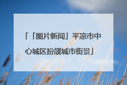 「图片新闻」平凉市中心城区扮靓城市街景