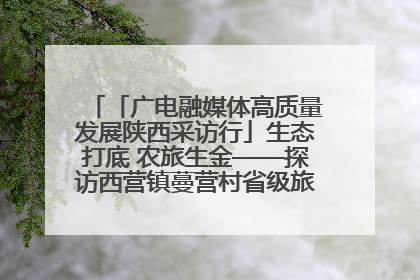 「广电融媒体高质量发展陕西采访行」生态打底 农旅生金——探访西营镇蔓营村省级旅游示范村的振兴密码