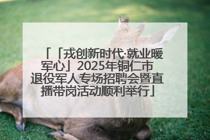 「戎创新时代·就业暖军心」2025年铜仁市退役军人专场招聘会暨直播带岗活动顺利举行