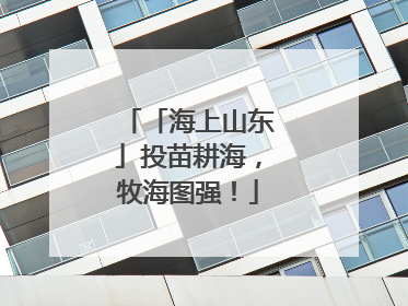 「海上山东」投苗耕海，牧海图强！