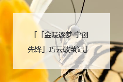 「金陵逐梦·宁创先锋」巧云破茧记