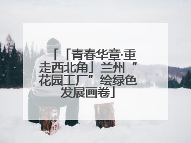 「青春华章·重走西北角」兰州“花园工厂”绘绿色发展画卷