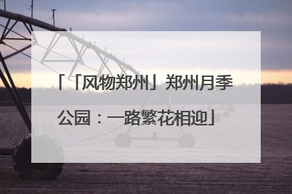 「风物郑州」郑州月季公园：一路繁花相迎