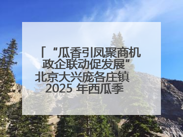“瓜香引凤聚商机 政企联动促发展”北京大兴庞各庄镇 2025 年西瓜季政企联动产业推介活动圆满举行