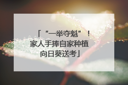 “一举夺魁”！家人手捧自家种植向日葵送考