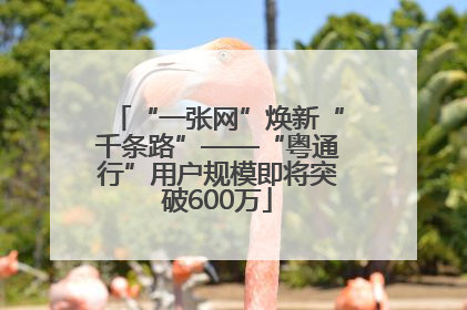 “一张网”焕新“千条路”——“粤通行”用户规模即将突破600万