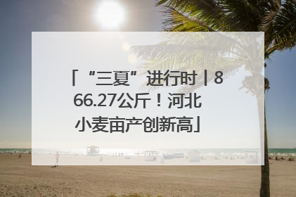 “三夏”进行时丨866.27公斤！河北小麦亩产创新高
