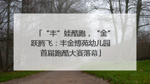 “丰”娃酷跑，“金”跃腾飞：丰金博苑幼儿园首届跑酷大赛落幕