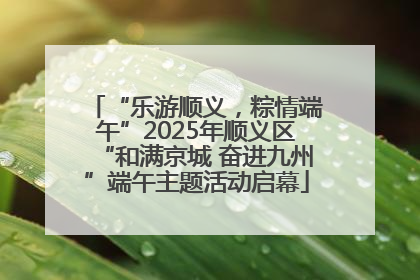 “乐游顺义，粽情端午”2025年顺义区“和满京城 奋进九州”端午主题活动启幕