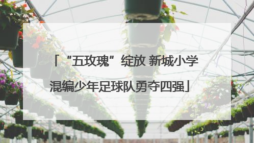 “五玫瑰”绽放 新城小学混编少年足球队勇夺四强