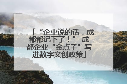 “企业说的话，成都都记下了！” 成都企业“金点子”写进数字文创政策