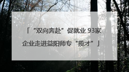 “双向奔赴”促就业 93家企业走进益阳师专“揽才”
