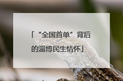 “全国首单”背后的淄博民生情怀