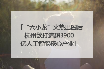 “六小龙”火热出圈后 杭州欲打造超3900亿人工智能核心产业