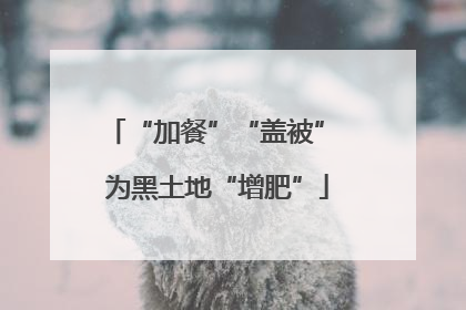“加餐”“盖被” 为黑土地“增肥”
