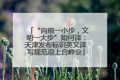 “向前一小步，文明一大步”如何译：天津发布标识英文译写规范迎上合峰会