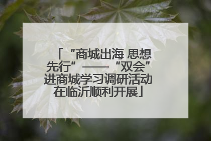 “商城出海 思想先行”——“双会”进商城学习调研活动在临沂顺利开展