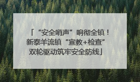 “安全哨声”响彻全镇！新泰羊流镇“宣教+检查”双轮驱动筑牢安全防线
