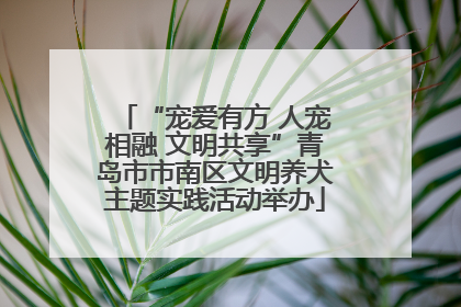 “宠爱有方 人宠相融 文明共享”青岛市市南区文明养犬主题实践活动举办