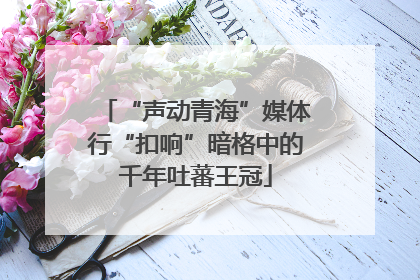 “声动青海”媒体行“扣响”暗格中的千年吐蕃王冠