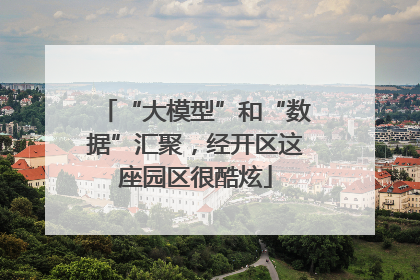 “大模型”和“数据”汇聚，经开区这座园区很酷炫