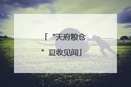 “天府粮仓”夏收见闻