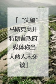 “失望”马斯克离开特朗普政府 媒体称当天两人未交谈