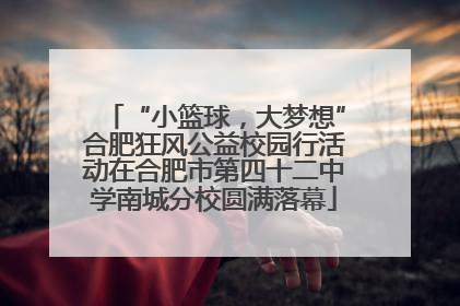 “小篮球，大梦想”合肥狂风公益校园行活动在合肥市第四十二中学南城分校圆满落幕