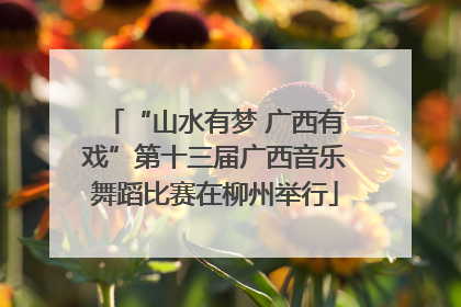 “山水有梦 广西有戏”第十三届广西音乐舞蹈比赛在柳州举行