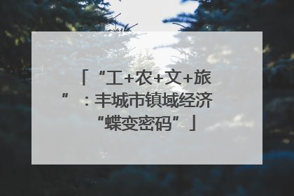 “工+农+文+旅”：丰城市镇域经济“蝶变密码”