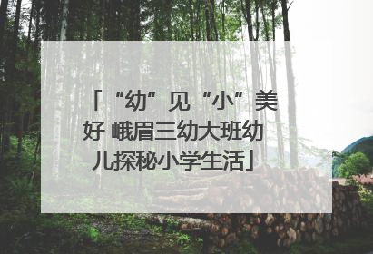 “幼”见“小”美好 峨眉三幼大班幼儿探秘小学生活