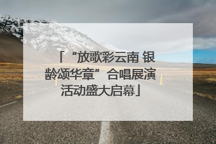 “放歌彩云南 银龄颂华章”合唱展演活动盛大启幕