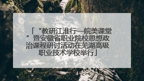 “教研江淮行—皖美课堂”暨安徽省职业院校思想政治课程研讨活动在芜湖高级职业技术学校举行