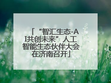 “智汇生态-AI共创未来”人工智能生态伙伴大会在济南召开