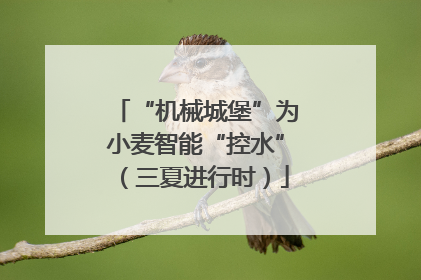 “机械城堡”为小麦智能“控水”（三夏进行时）