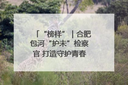 “榜样”｜合肥包河“护未”检察官 打造守护青春成长的永恒灯塔