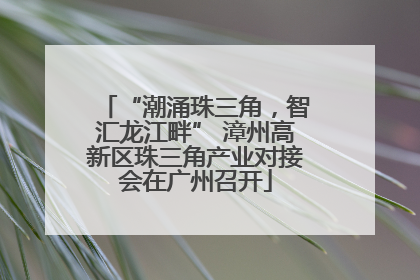 “潮涌珠三角，智汇龙江畔” 漳州高新区珠三角产业对接会在广州召开