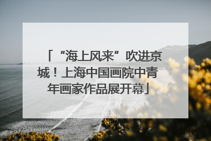 “海上风来”吹进京城！上海中国画院中青年画家作品展开幕