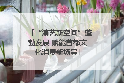 “演艺新空间”蓬勃发展 赋能首都文化消费新场景