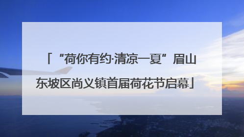 “荷你有约·清凉一夏”眉山东坡区尚义镇首届荷花节启幕