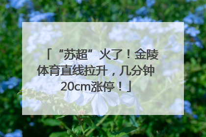 “苏超”火了！金陵体育直线拉升，几分钟20cm涨停！