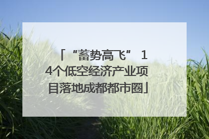 “蓄势高飞” 14个低空经济产业项目落地成都都市圈