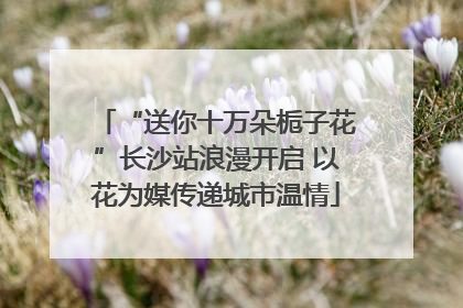 “送你十万朵栀子花”长沙站浪漫开启 以花为媒传递城市温情
