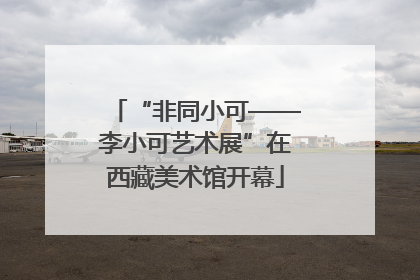 “非同小可——李小可艺术展”在西藏美术馆开幕