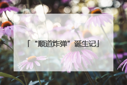 “顺道炸弹”诞生记